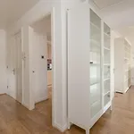 Spacious Flat In Stockbridge