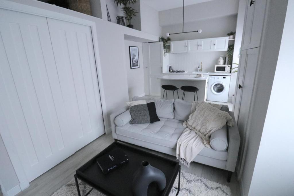 Modern Flat In Edinburgh