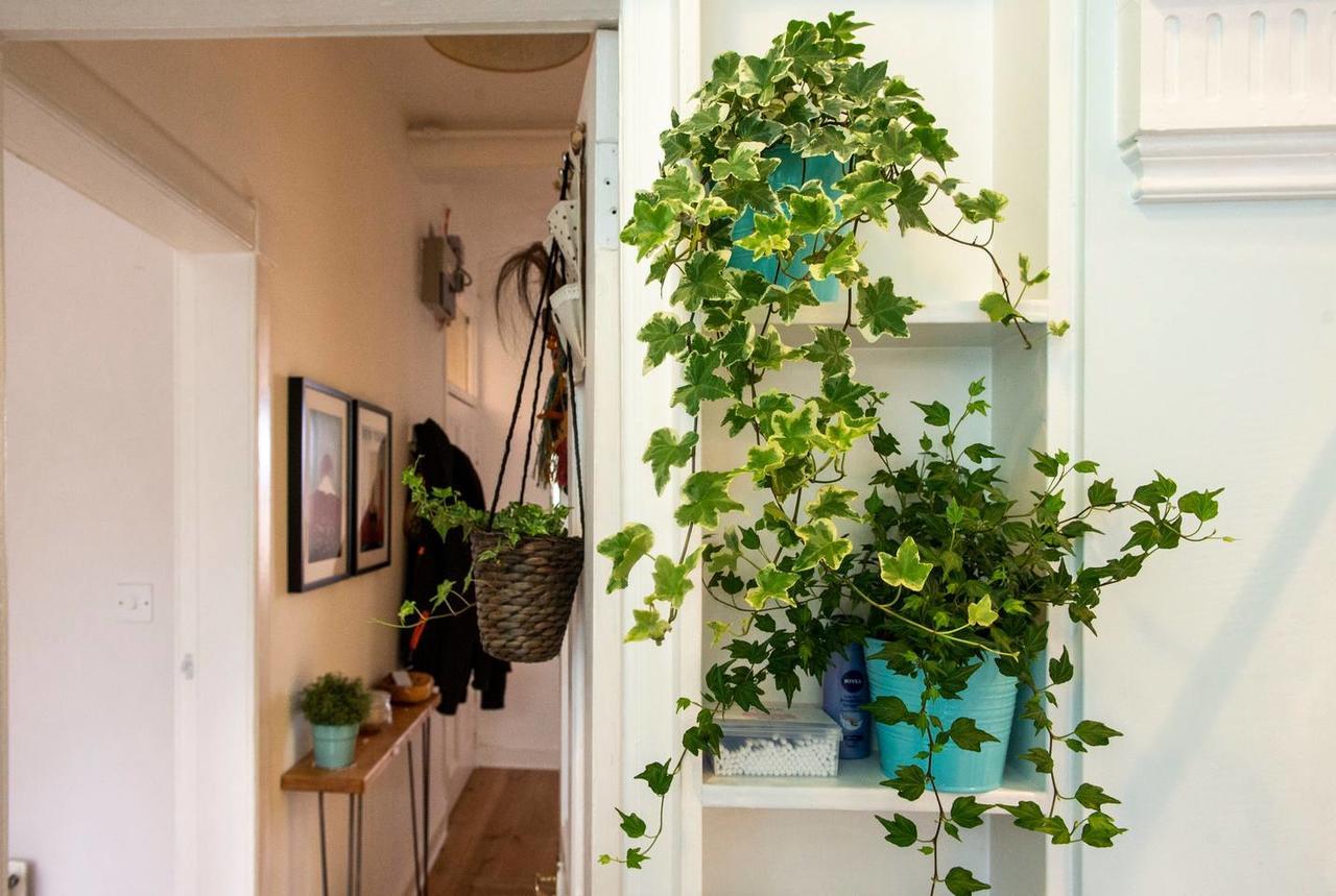 Bright And Airy In Canonmills Apartment Edinburgh
