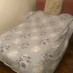 Basement One Bedroom Flat