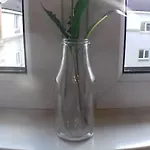 Two Bedroom Apartment Near Haymarket