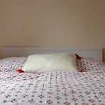 2 Bedroom Apartment Near City Centre