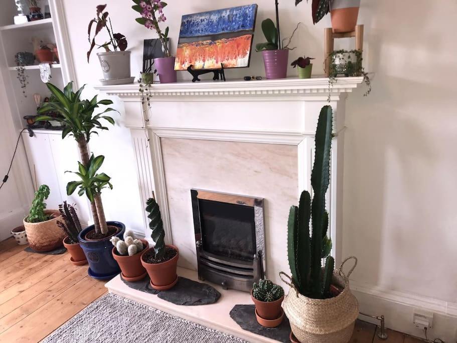 Cosy 2 Bedroom Flat In Apartment EDI