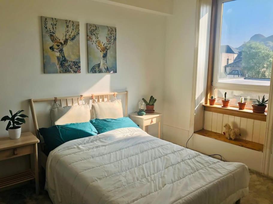 Cosy 2 Bedroom Flat In Apartment EDI
