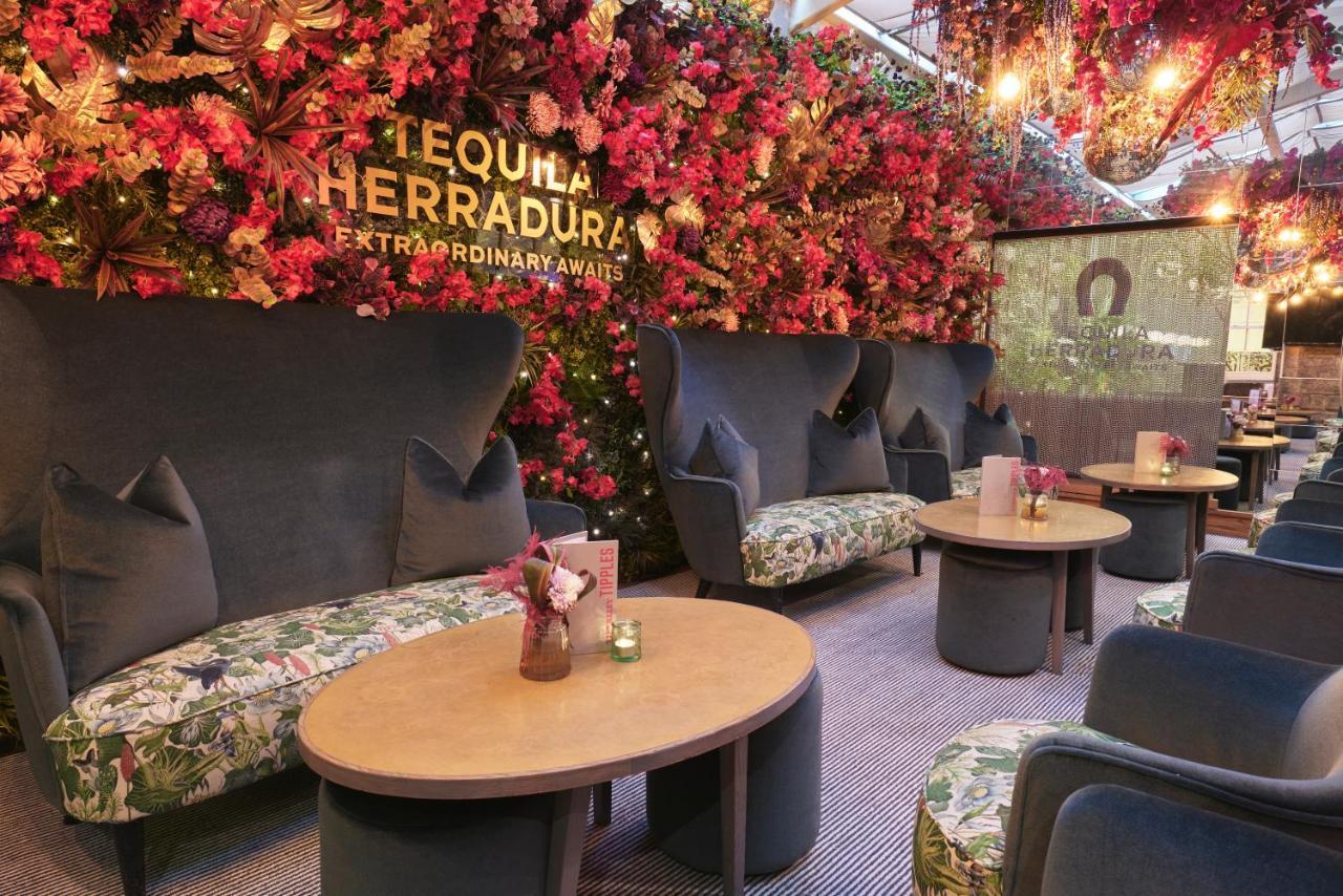 Tigerlily Edinburgh