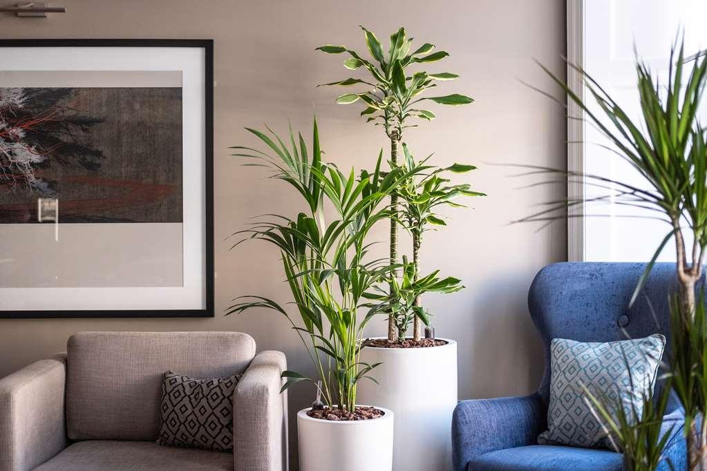 Aparthotel Heeton Concept Queen Street Edinburgh