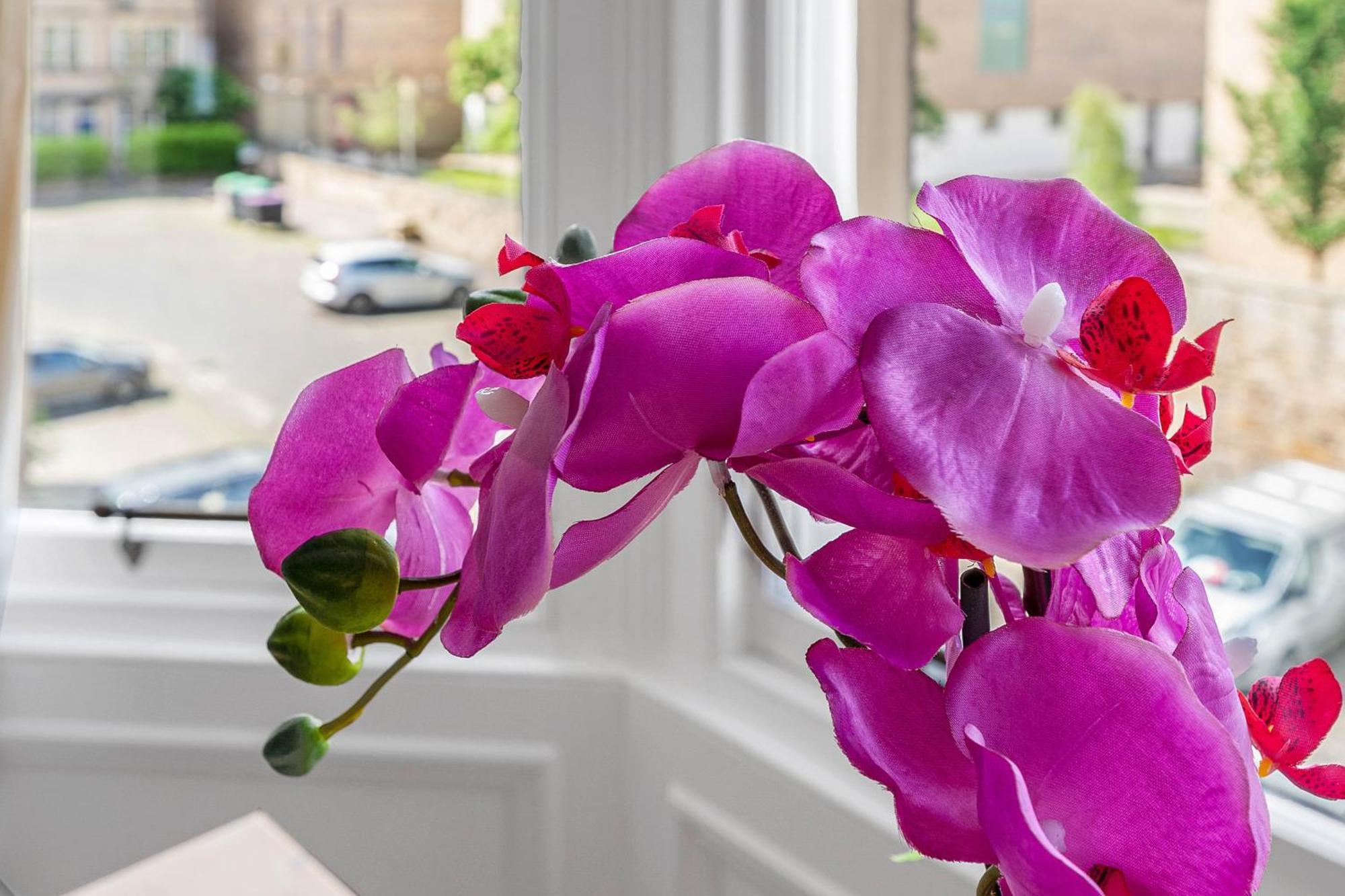 Apartment Marchmont Traditional