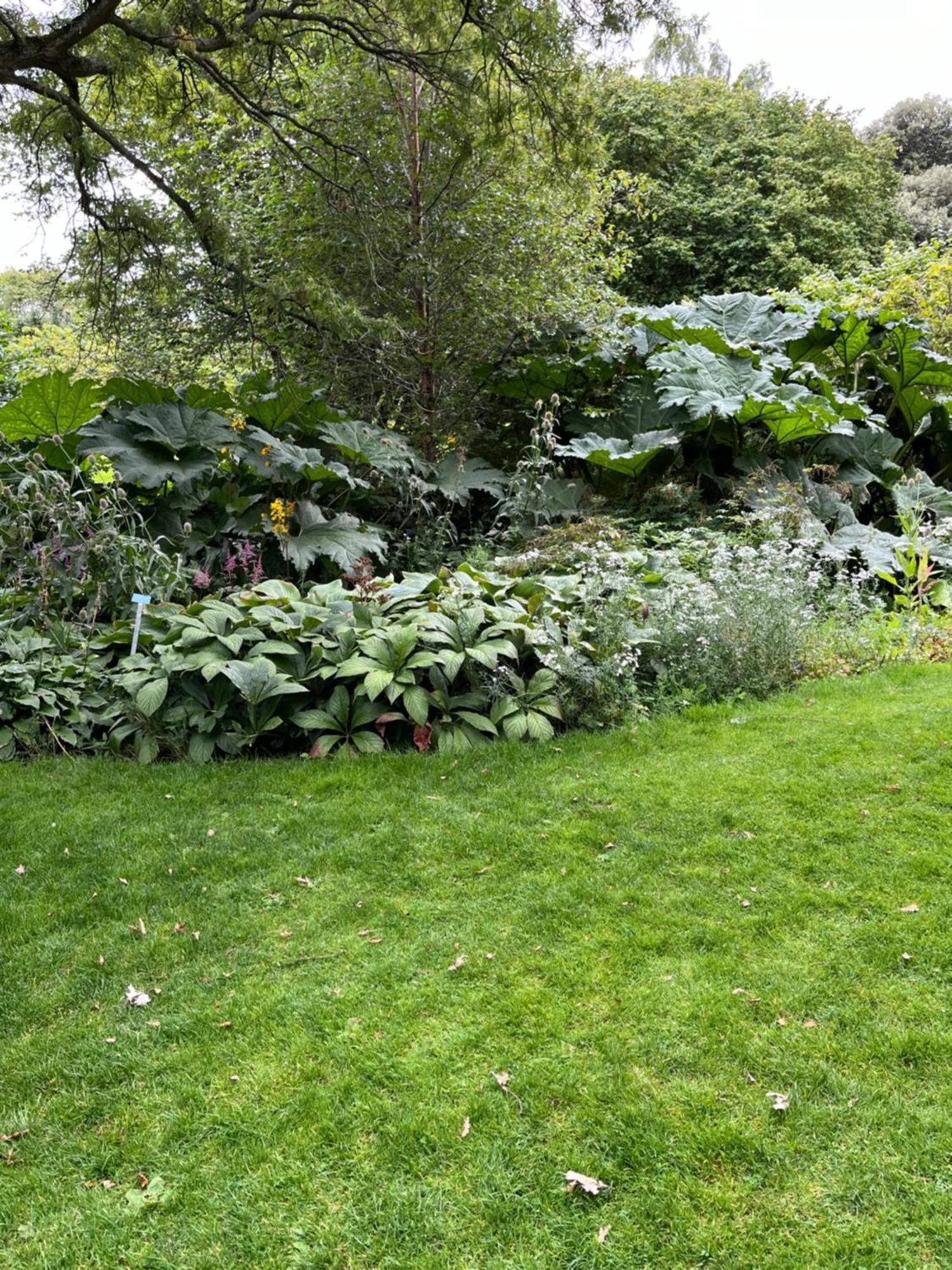 Homestay Relaxing, Cozy 1 Double Edinburgh