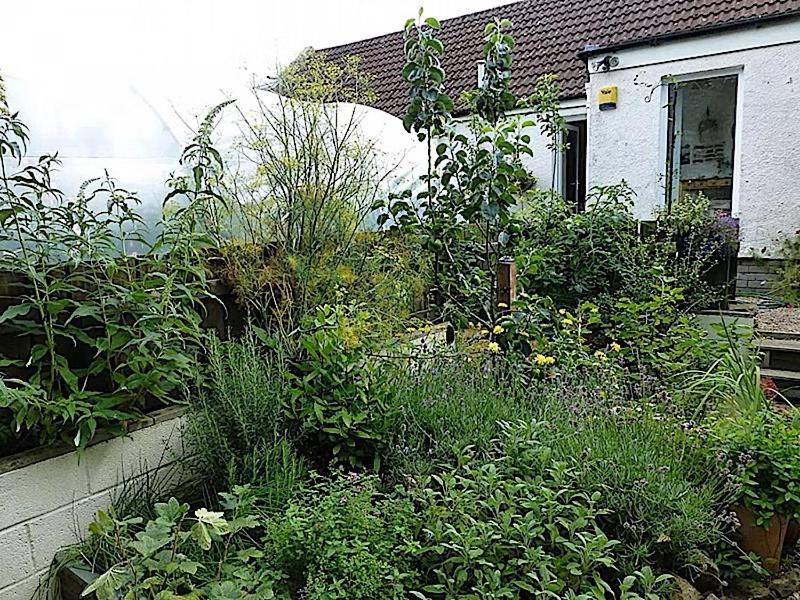 Charming 3 Bed , Private Bookings , Free Street Parking , Fibre Optic Internet , Garden * Edinburgh