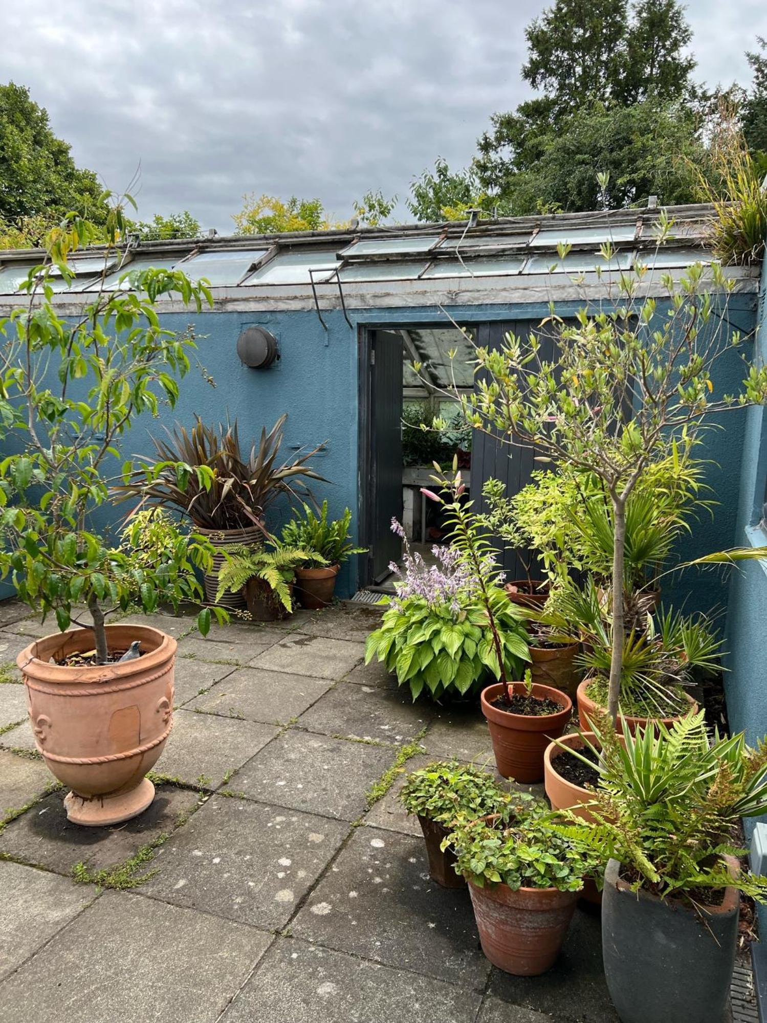 Suntrap House * Edinburgh