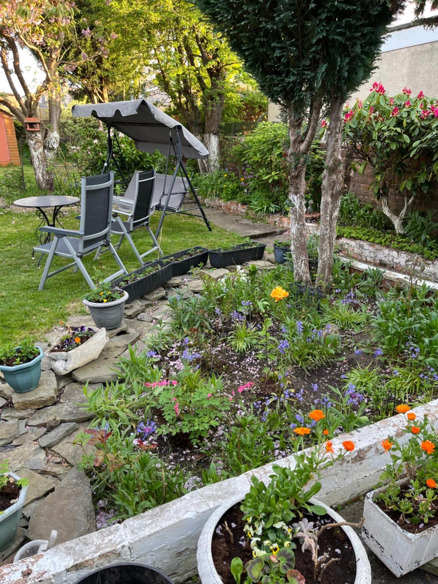 Homestay Relaxing, Cozy 1 Double Edinburgh