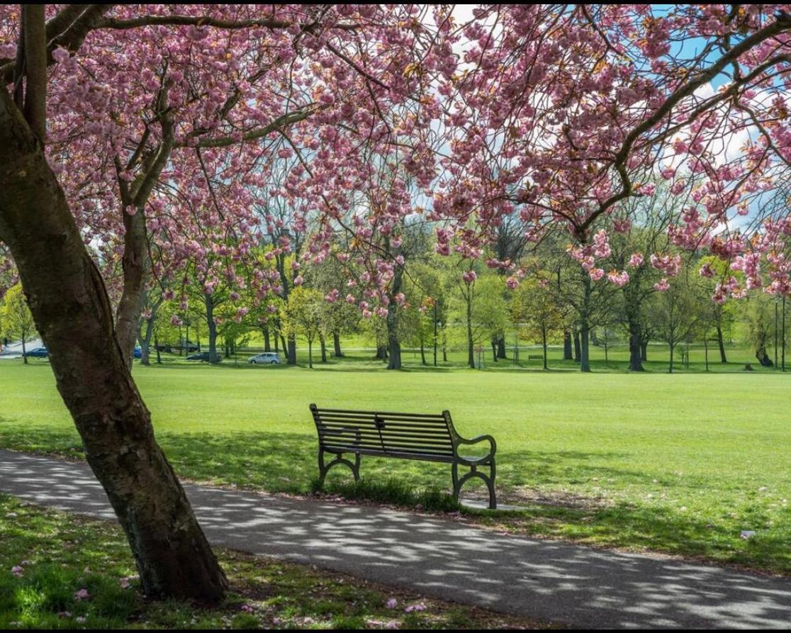 Apartment Meadows Den - Heart Of *
