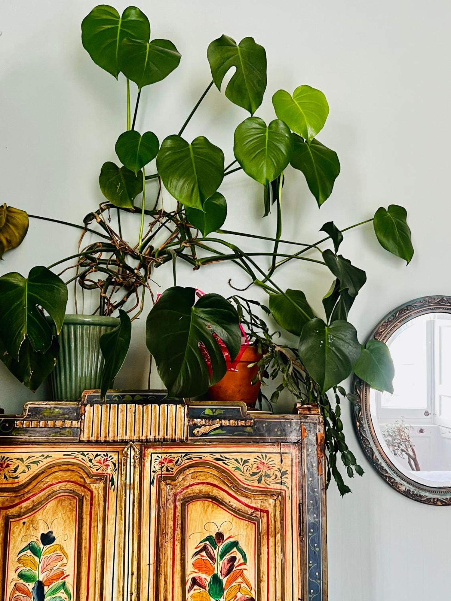 Apartment With Parking, Original Art And Antiques