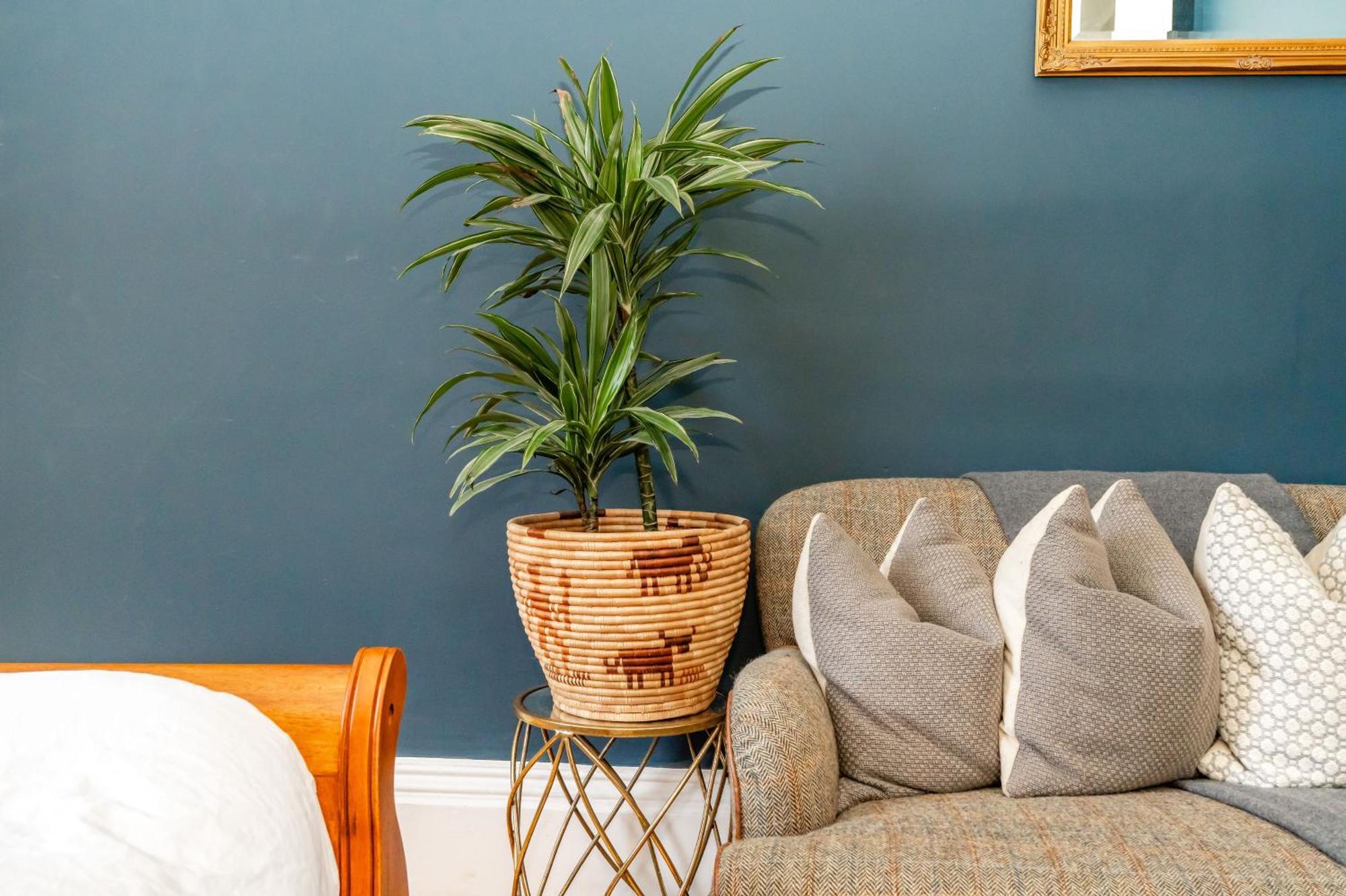 Apartment Stunning Flat, New Town, - Perfect Location Edinburgh
