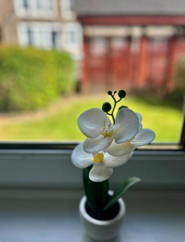 Elegant 2 Bedroom Apartment Edinburgh