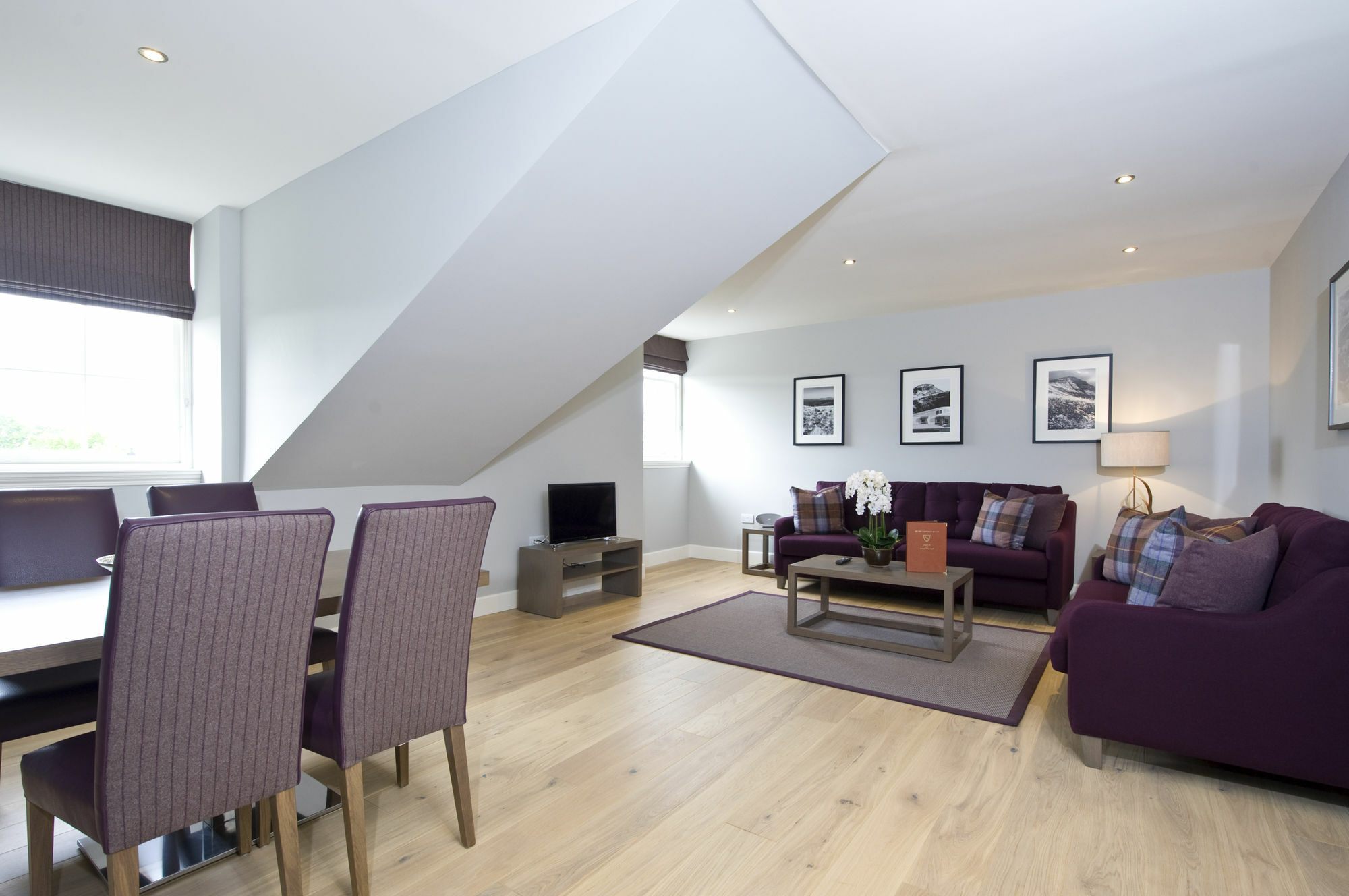 Apartment No1 - George Iv Bridge EDI
