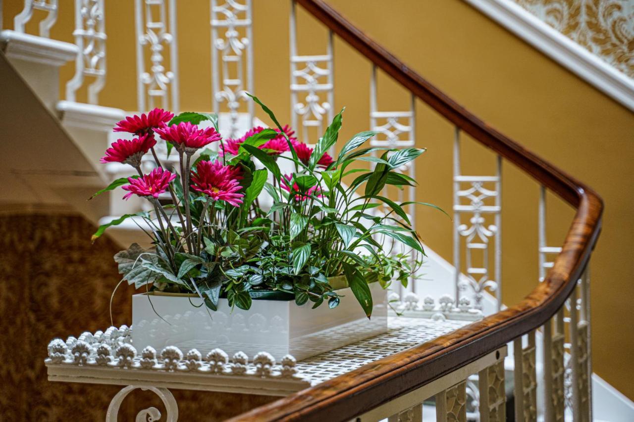 Guest house Adria House 3*