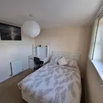 Cozy Haven With Great Vibes
