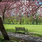 Luxury Nests Central Edinburgh - Meadows