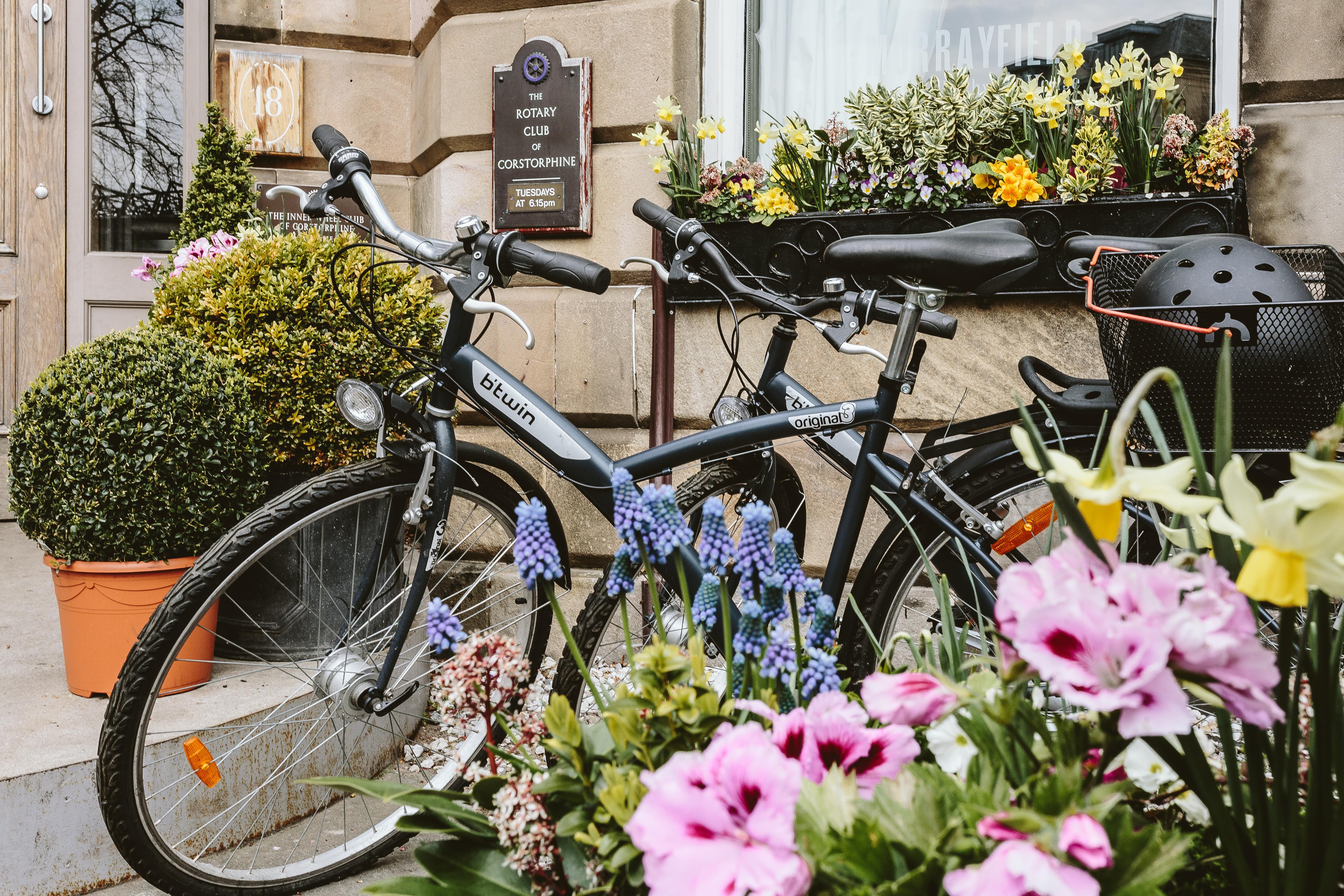 Murrayfield Hotel 4*
