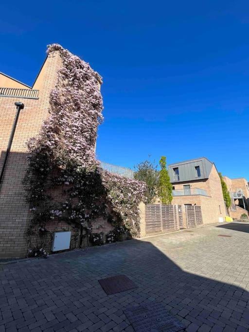 Holiday home Gorgeous 3 Bed House Free Parking & Garden