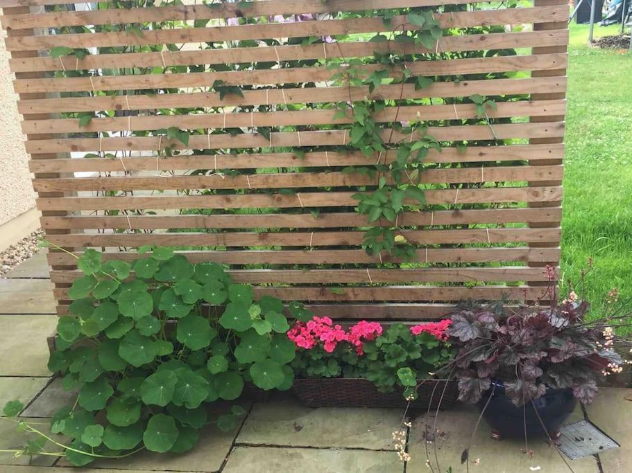 Wardie Garden *