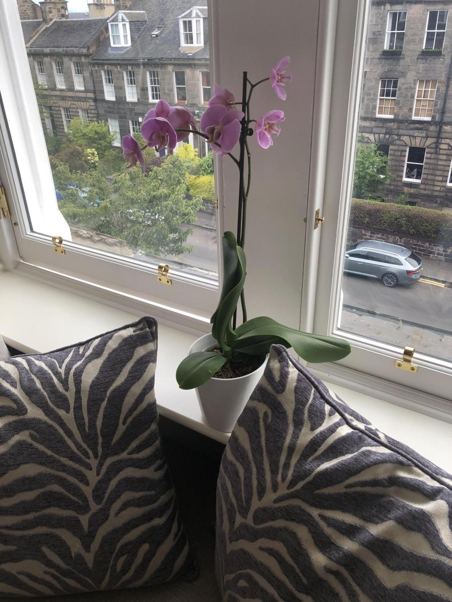 Sheridan Guest house 4*