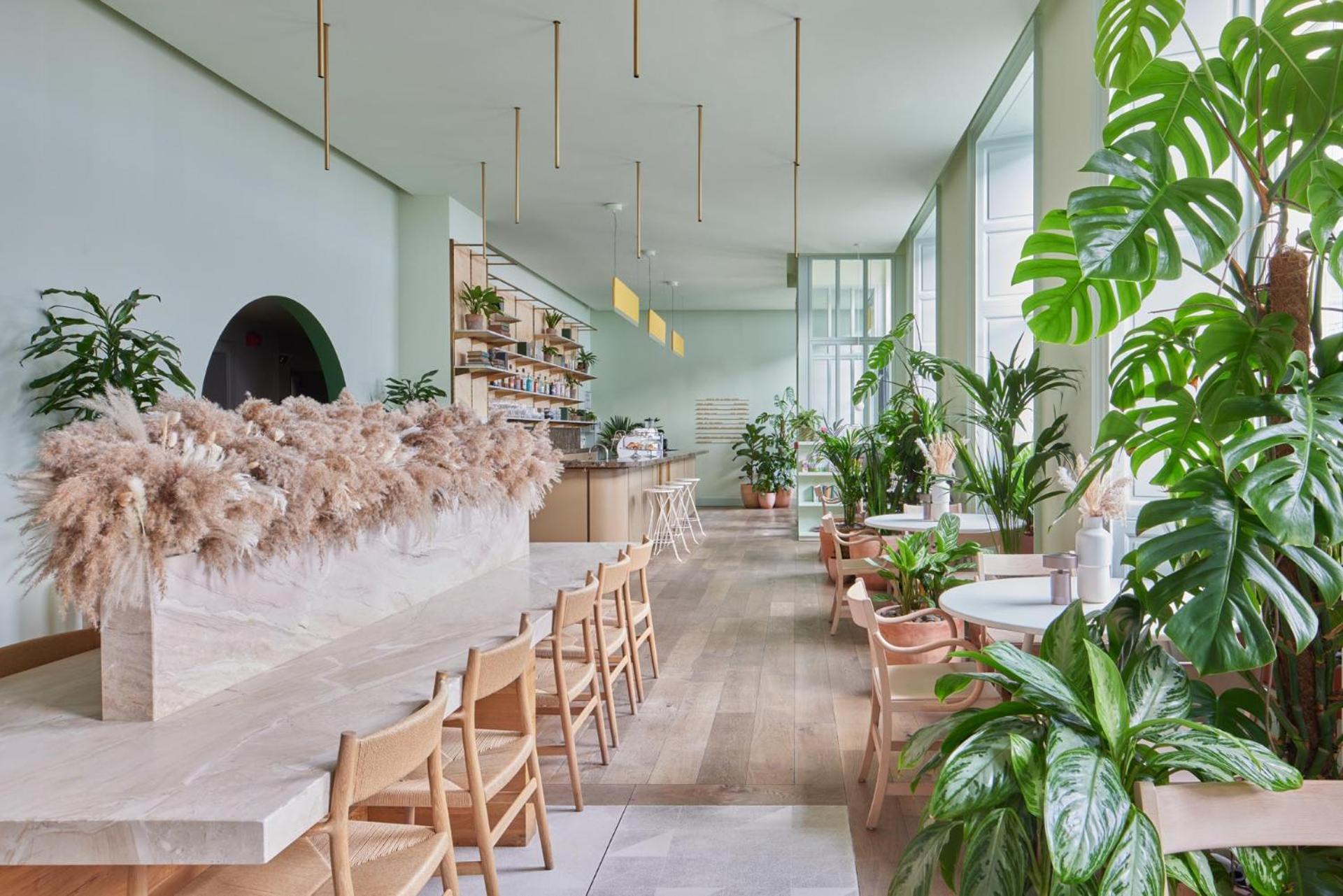 Hotel Eden Locke 4*