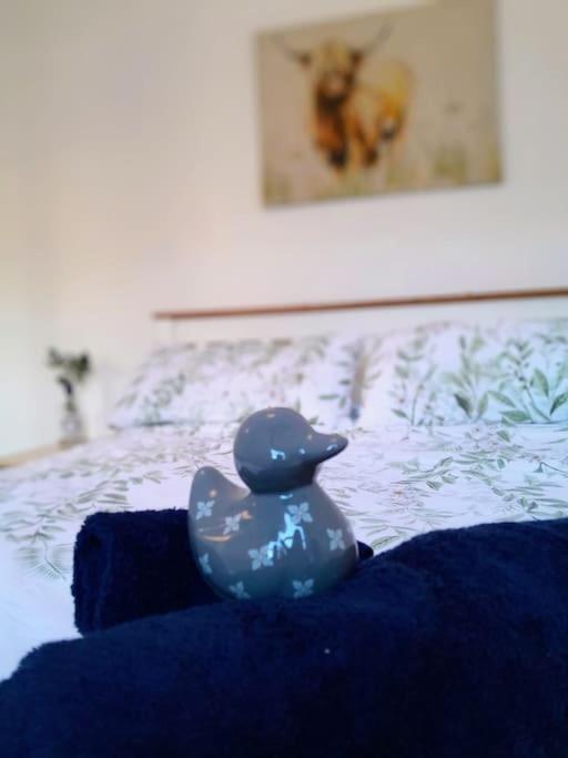 Cosy 2 Bed Apartment Edinburgh