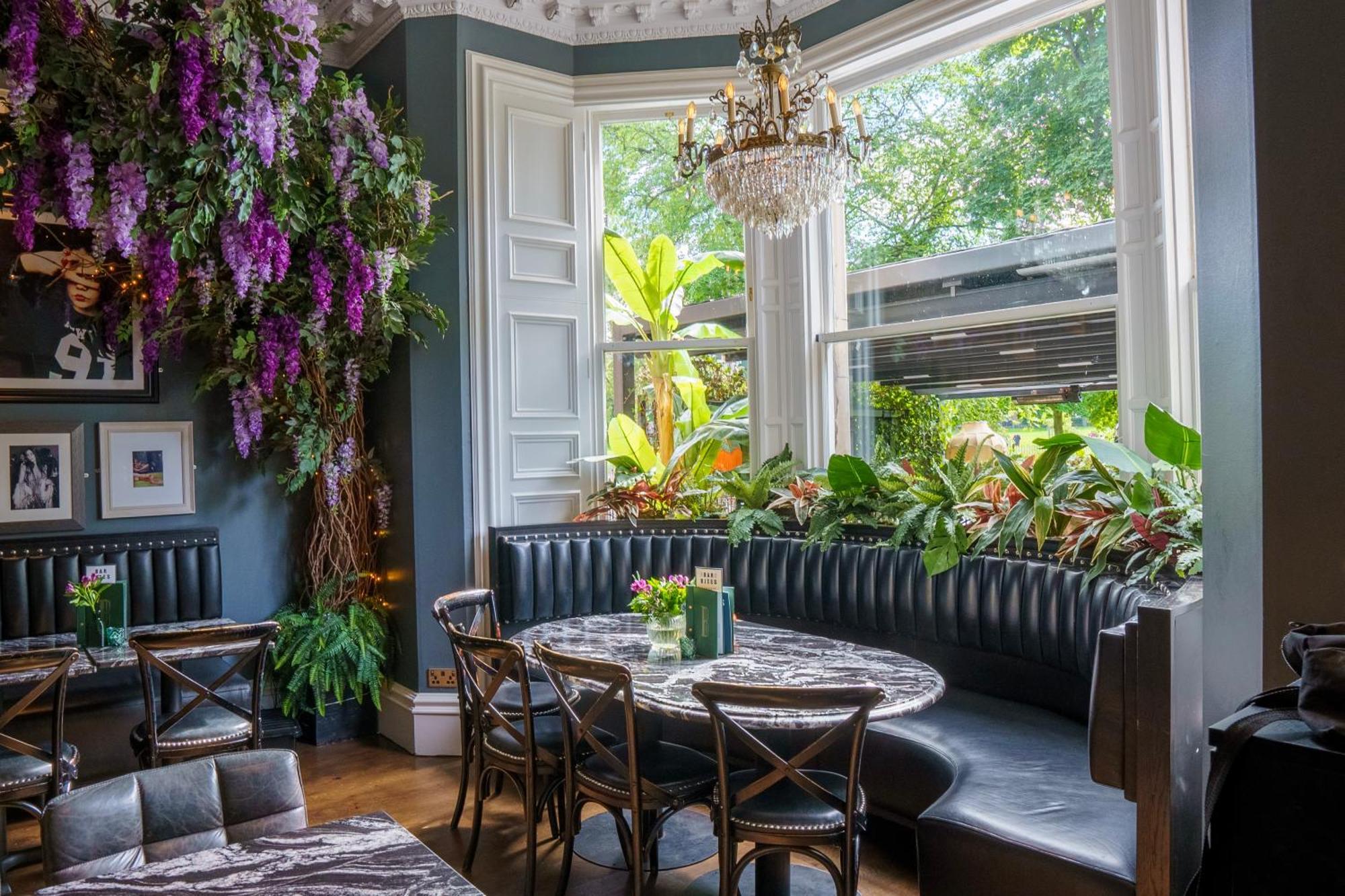 Hotel Black Ivy