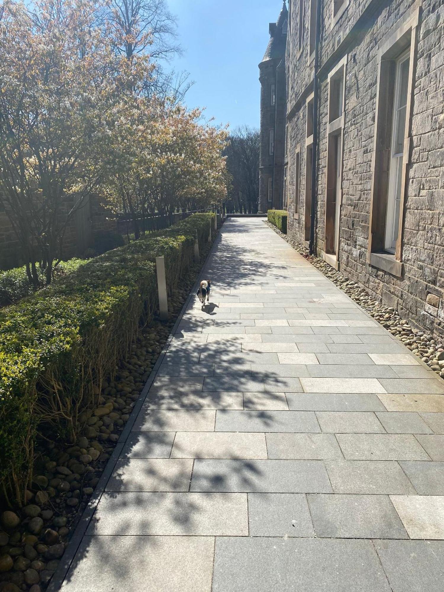 Very Centrally Located Chic One Bed Quartermile *