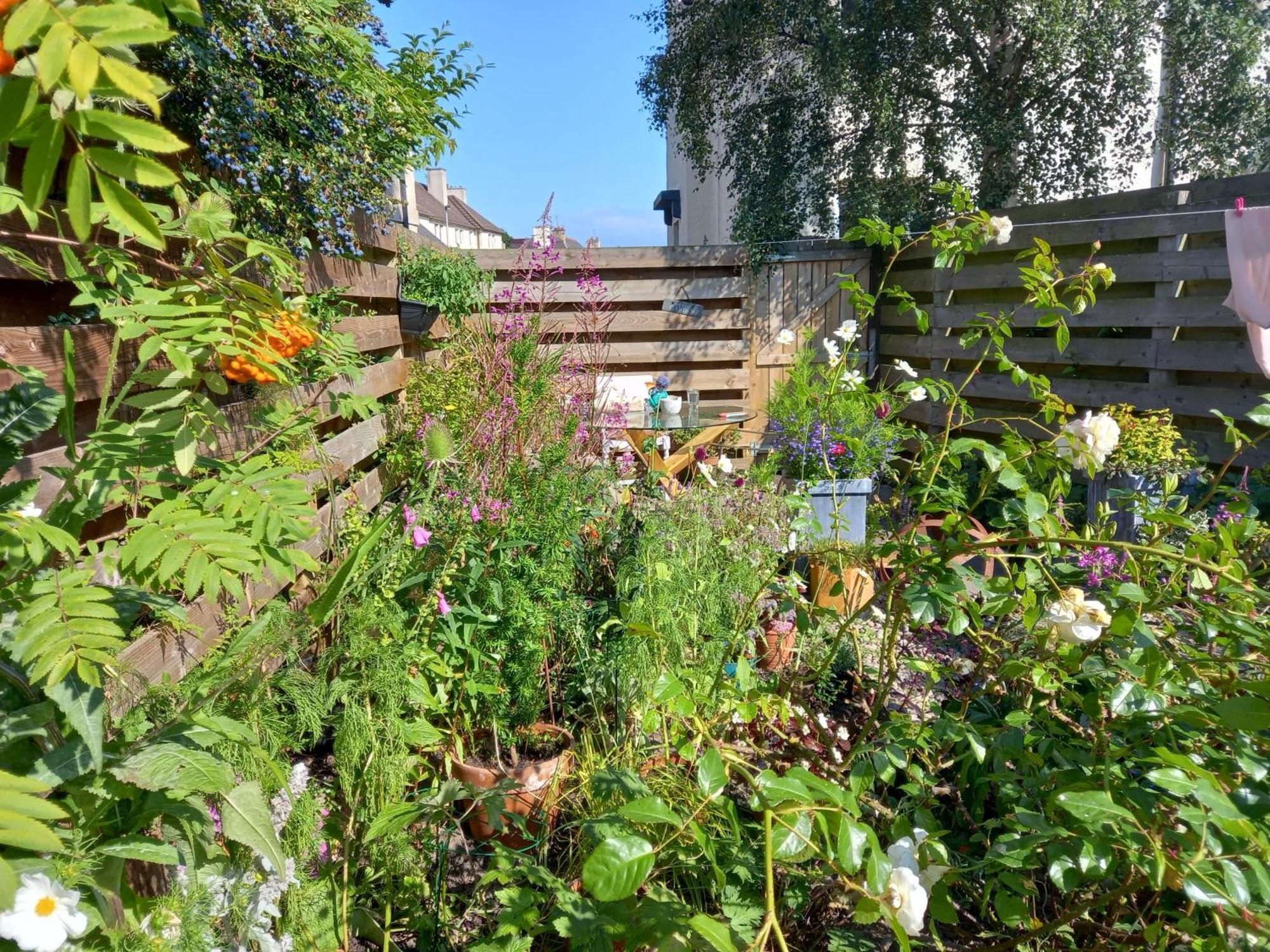 Peace In The Homestay