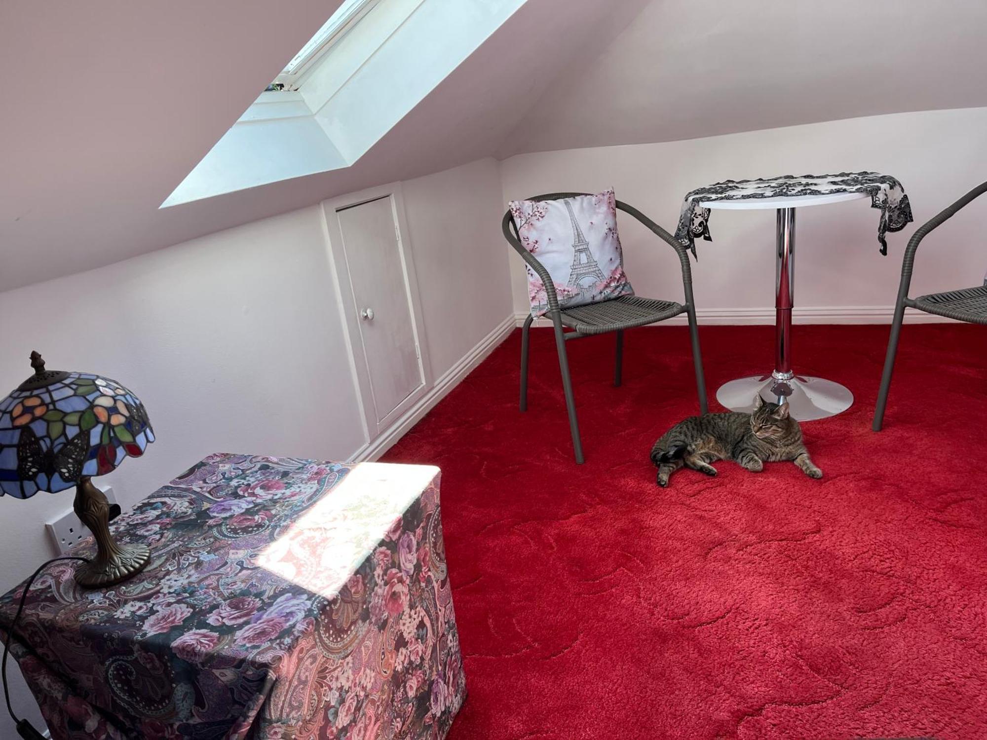 Homestay Relaxing, Cozy 1 Double Edinburgh