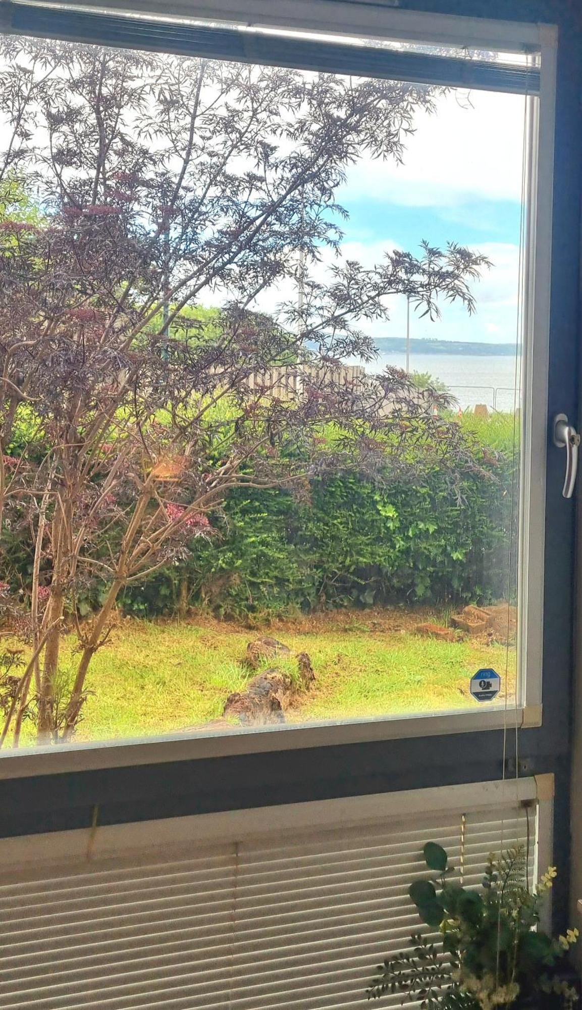 Thistle & Tide Apartment