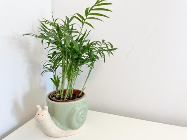 Homestay Double With Private Bathroom And Parking Edinburgh