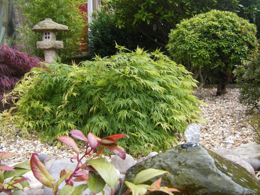 Amaragua 5* Edinburgh