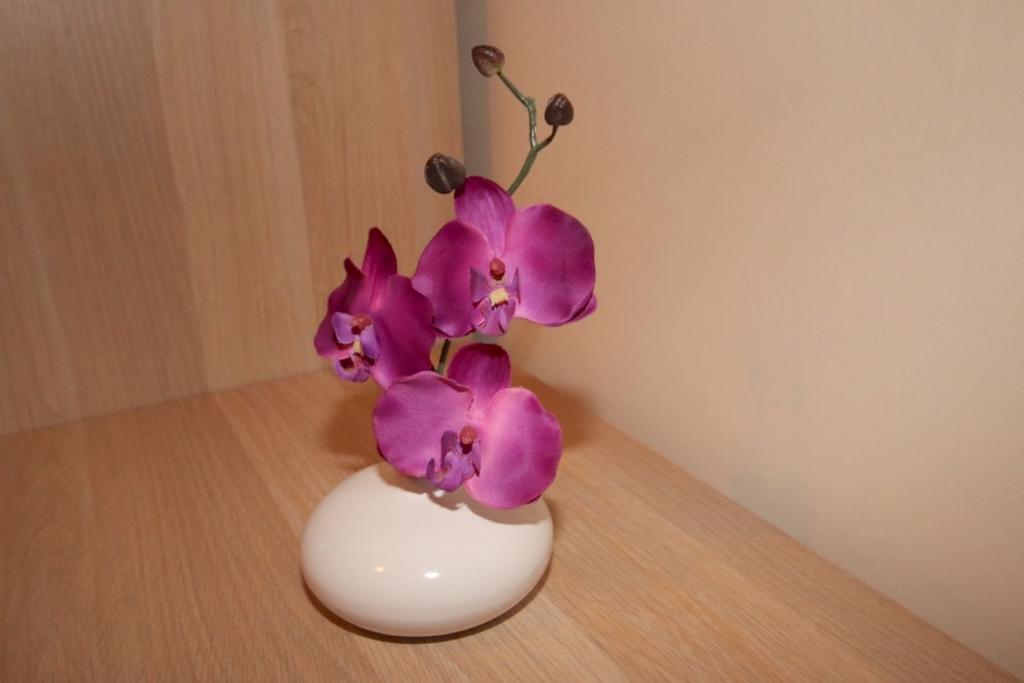 Hutchison Apartment Edinburgh