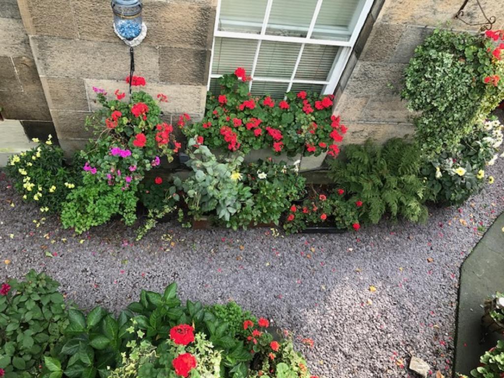 22 Chester Street Guest house