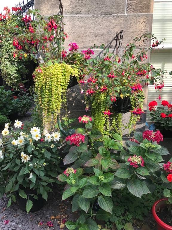 Guest house 22 Chester Street Edinburgh