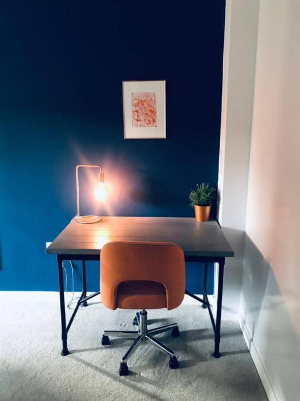 Contemporary With Garden Apartment Edinburgh