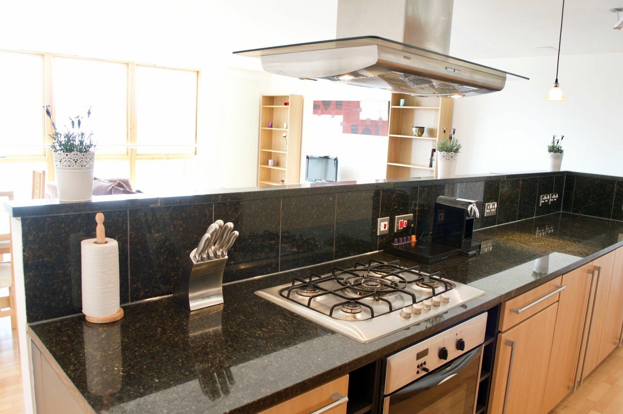 Apartment Penthouse In Edinburgh's Centre Edinburgh