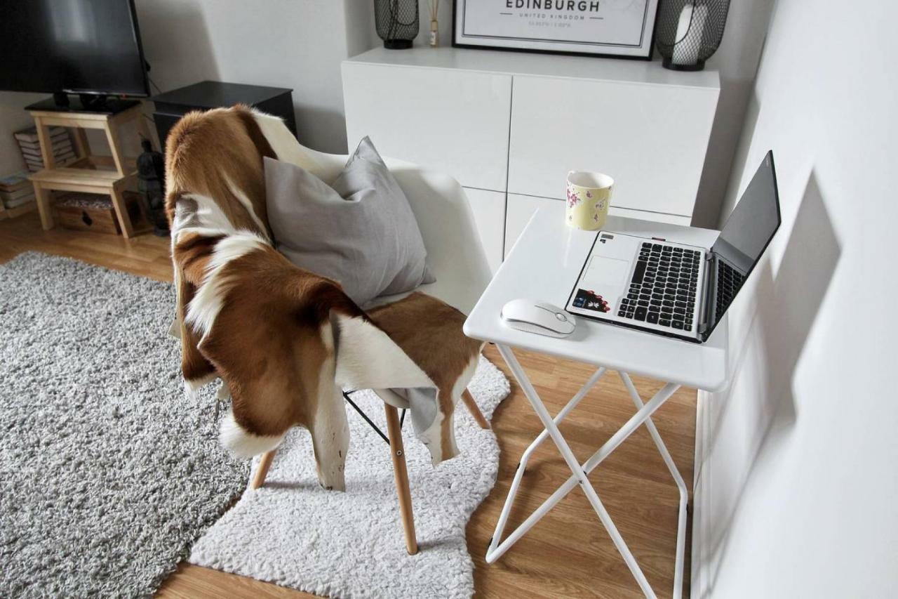 Henderson Row - Cosy New Town Apt 10 Minutes Walk From Princes St