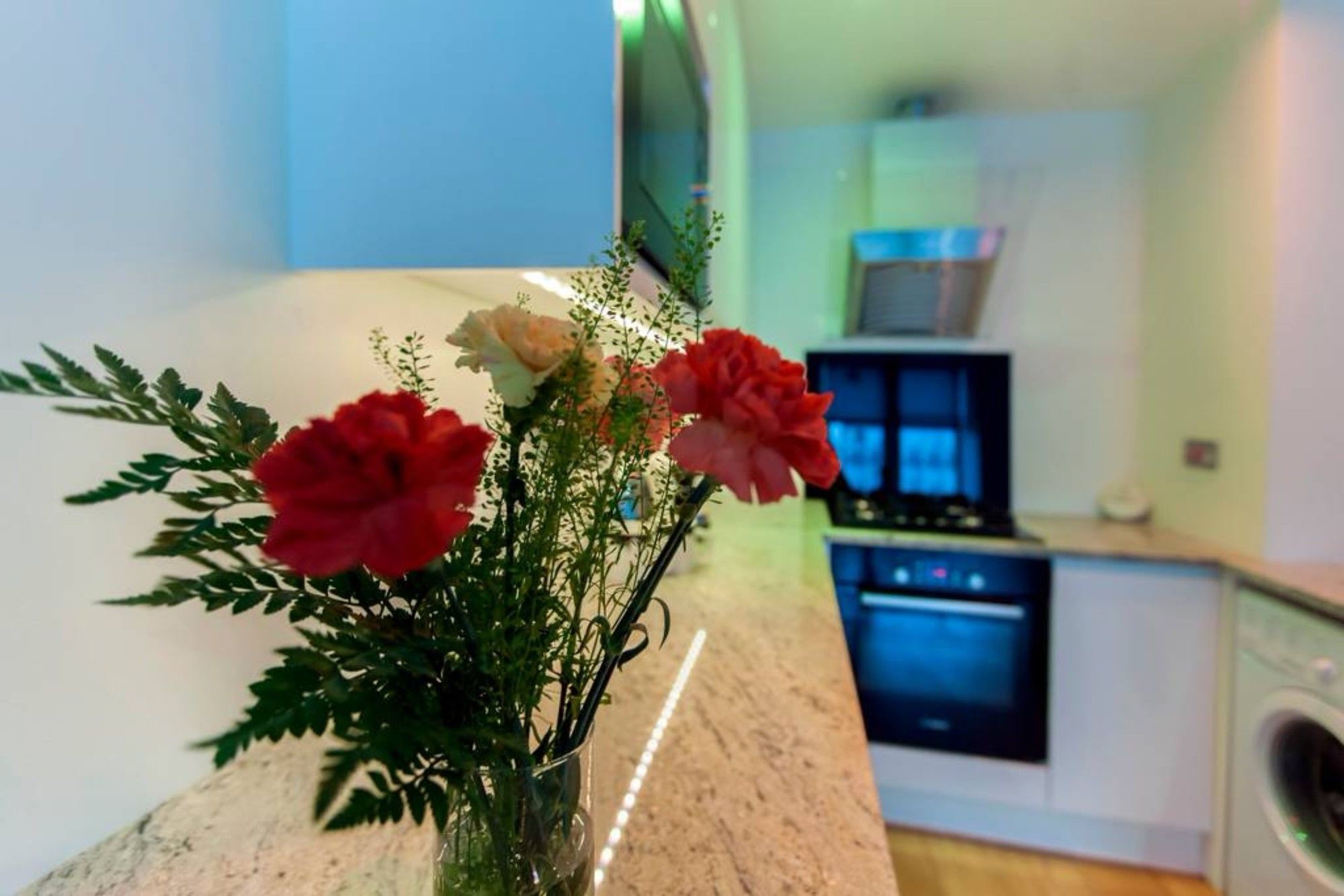 Apartment 2 Bedroom Near Castle *