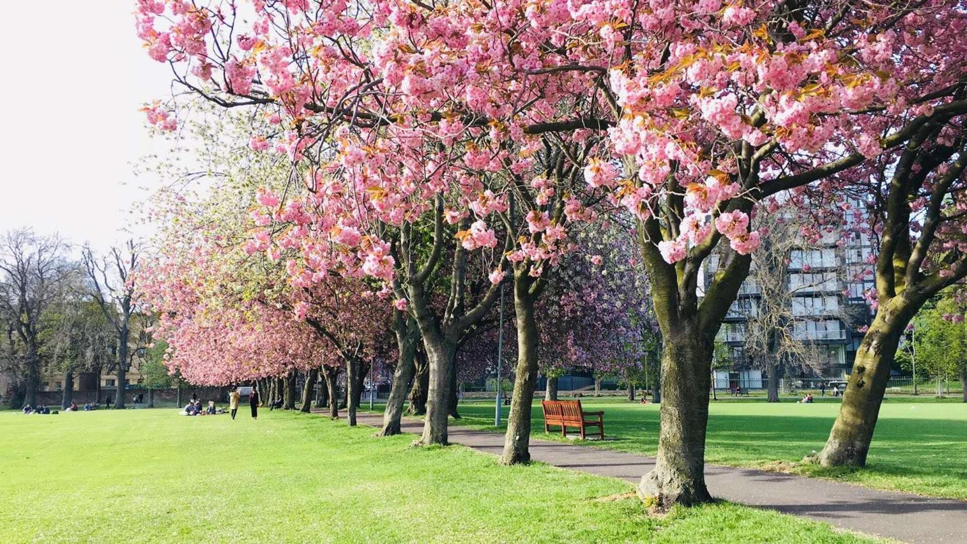 Apartment Centre - Meadows