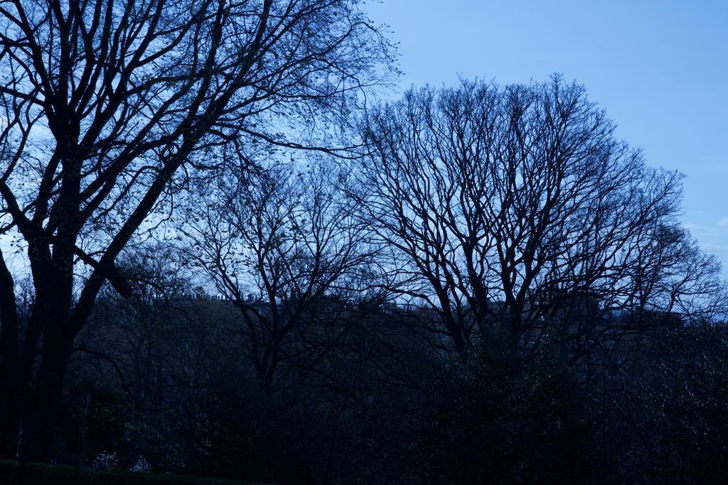 City Edinburgh