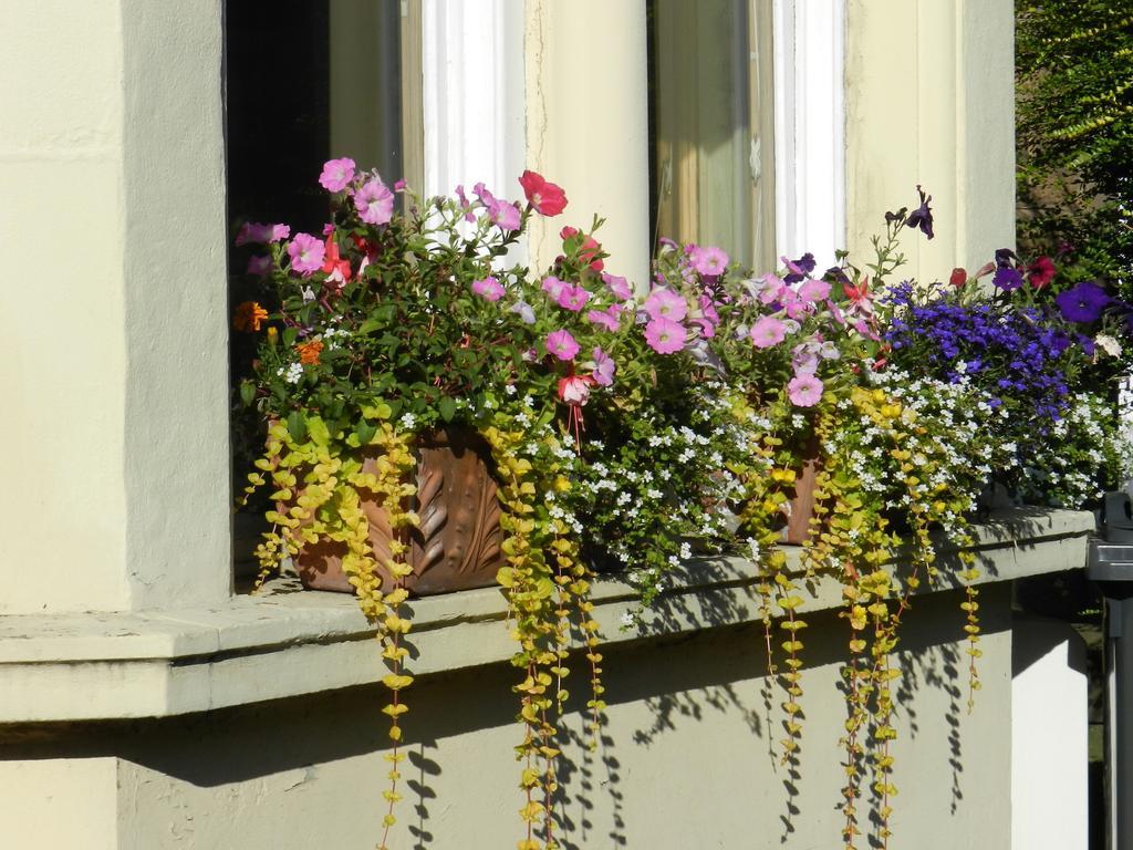 Balmoral Guest house
