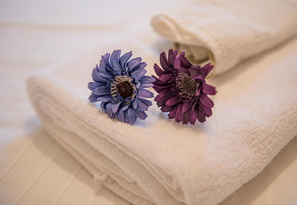 Atholl Brae Apartment Edinburgh