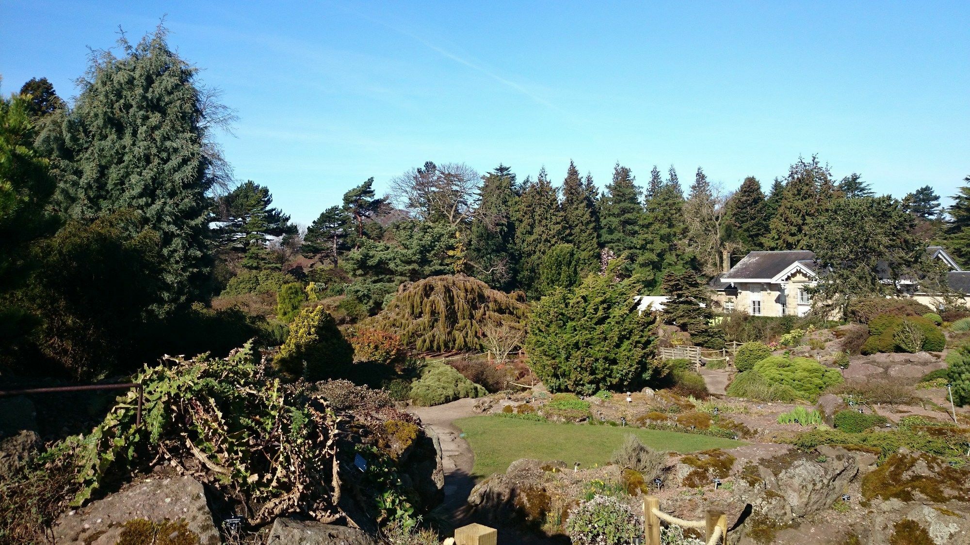 Violet Bank New Town