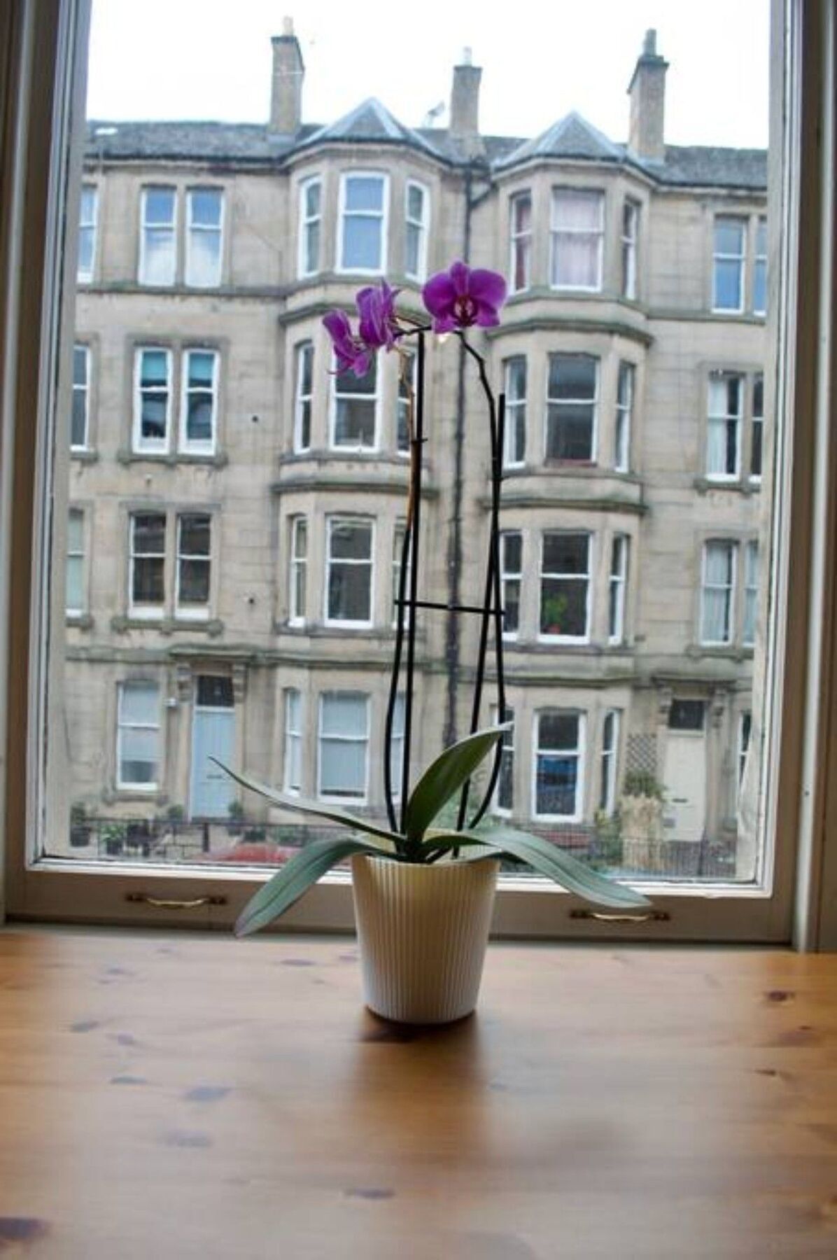 1 Bedroom Stockbridge