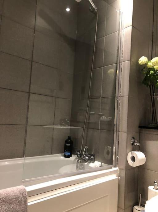 Modern Specious Three Bedroom In EDI